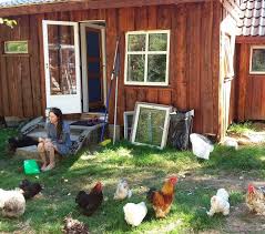 In 2016, the family caused a storm on this morning when daughter . Life Slows Down The Islander Who Swapped Shetland For Living Off Grid In A Norway Forest Shetland News