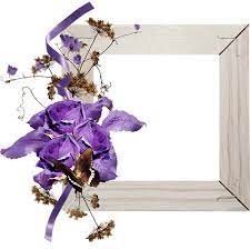 إطارات ورد للتصميم2021 أجمل الإطارات للفوتوشوب إطارات ورود بخلفية شفافة2021 halloween frames christmas frames paper frames