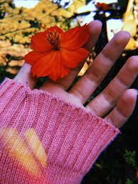Pin By Bby Girl On Floresca Henna Designs Hand Beautiful Flowers Wallpapers Spring Roses
