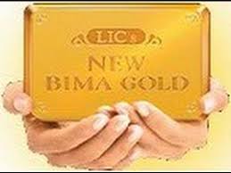 Lic New Bima Gold Policy Return Details Benefits Example