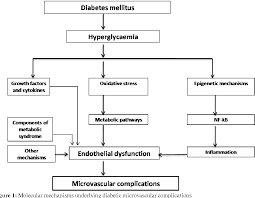 Diabetic retinopathy, the most common microvascular complication of diabetes, is the leading cause of new while advances in the management of diabetes and diabetic retinopathy have reduced the risk of vision loss and blindness,10 as many as 1/3 to 1/2 of. Pdf Molecular Mechanisms Underlying Microvascular Complications In Diabetes Mellitus Semantic Scholar