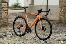 Image result for Orbea umbracula