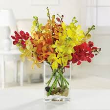 We do have same day delivery. Orchids Galore Sunny Isles Beach Florist Sunny Isles Florist Local Flower Delivery Sunny Isles Beach Fl 33160
