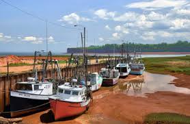 bay of fundy tides the highest tides in the world