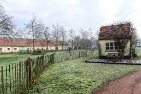 Armoede zou moeten worden aangepakt door armen uit de stad naar de koloniën te sturen en hen daar, door het geven van een boerderijtje, echte boeren te maken. 0clhhujiqbq Xm