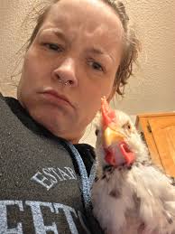Is my 5 week old bantam a hen or rooster?