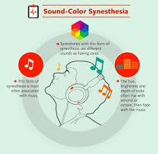 Understanding The Phenomenon Of Synesthesia Part 5 Forensic Science Synesthesia Sound Color Music Psychology Infographic Counseling Activities