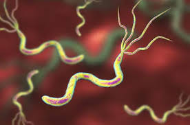 American college of gastroenterology guideline on the management of helicobacter pylori infection. Indicaciones De Farmacias Trebol Sobre La Infeccion Por Helicobacter