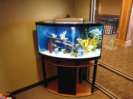 Aqauriums Fish Aquarium Gallery Of Aquatic Designs Aquarium Maintenance Corner Aquarium Fish Tank Stand Aquarium Design