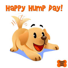 Chummy Chum Chums Cute Love Gif Chums Winnie The Pooh