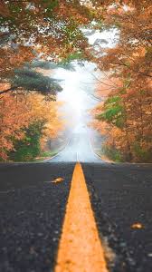 750 x 1334 jpeg 264kb. Autumn Road King City Canada Iphone Wallpaper Iphone Wallpapers Iphone Wallpapers