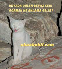 okuokubil com adli kullanicinin interpreting my dream ruyami yorumla panosundaki pin kedi ruya