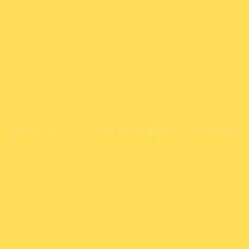 Image result for Sunglow Yellow 2018 City Express