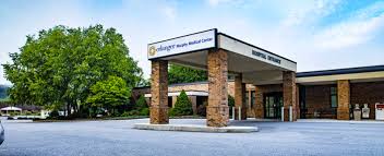 Image result for Erlangea