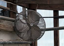 Ventilation might be manual or electric, with vans and/or fans, on the floor or. Different Types Of Greenhouse Fans Which Is Right For You Greenhouse Info