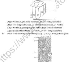 We did not find results for: Neet Ug Biology Animal Tissue Mcqs Multiple Choice Questions For Biology