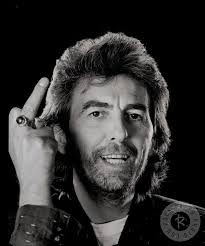 amber trainor (ambertrainor)