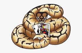Are there black pastel ball pythons for sale? Ball Python Clip Art Hd Png Download Transparent Png Image Pngitem