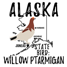 What is the state bird of alaska. Alaska State Bird Bird Watching Academy