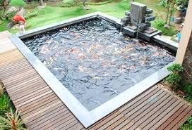 Tanaman sudah sangat terkenal untuk keahliannya dalam membersihkan kolam secara natural. 5 Tips Agar Air Kolam Tetap Jernih