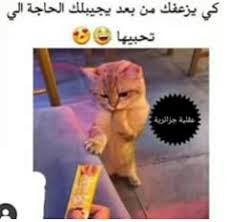 يمكن يصير انجح في الحالتين اذا كان في تفاهم وتفكير صح قبل ان نأخد قرار نندم عليه ونترجع بي اتأخذ اي قرار مستعجل فيه وبس ^^!! Ø§Ù‡Ù„ÙŠÙ† ÙˆØ³Ù‡Ù„ÙŠÙ†