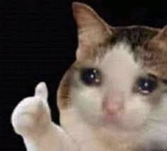 Kucing ragdoll adalah kucing yang penuh kasih, santai, seperti anjing yang cenderung mengejar pemiliknya di sekitar rumah. 24 Bts Jimin Ideas Itik Haiwan Lucu Wattpad