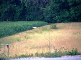 Farmers Point Cemetery