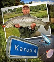 Meerforellenangeln An Der Karup A Fishing Seatrout In The River Karup Fische Angeln Forelle Angeln