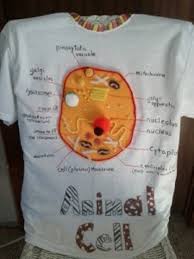 Maybe you would like to learn more about one of these? Animal Cell T Shirt Wear Your Biology Project To School Hubpages