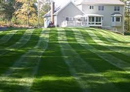 Top lawn care services near you july 2021. Commercial Lawn Care Service Lawn Care Services Lawn Mowing