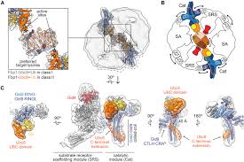 Seishun complex tabs