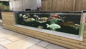 Raised Koi Pond Koifishponds Kolam Ikan Kolam Halaman Belakang Kolam