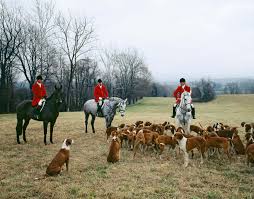 Foxhunting | History, Rules ...