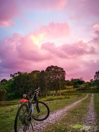 Travel time & fare to other erl stations. 15km Putrajaya Wetlands Ride Loop Bikemap Deine Radrouten