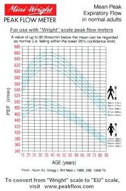 Bone Mass Percentage Chart Bone Mass Percentage Chart