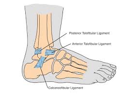 About Achilles Tendon Including Symptoms Prevention And Treatment