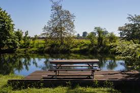 Deze wandelroute vertrekt en eindigt aan het lemke: Blogwandeling Met Verwonderhoekje In Dilsen Stokkem De Maasvallei