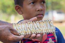 Scaling up best practices to secure food for rural Cambodians