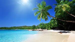Check spelling or type a new query. Tropical Scenes Wallpapers Top Free Tropical Scenes Backgrounds Wallpaperaccess
