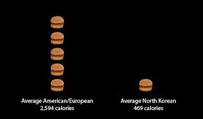 Maybe you would like to learn more about one of these? Calories Intake Usa Vs North Korea North Korea Know Your Meme