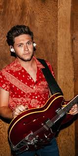 Pin By On Niall Niall Horan Baby Niall Horan One Direction Pictures