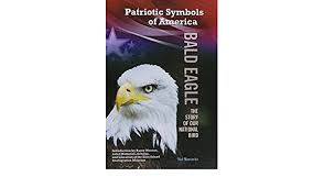 Maybe you would like to learn more about one of these? T Shirts American Eagle And Flag Tee Men S Image By Shutterstock Clothing Shoes Accessories