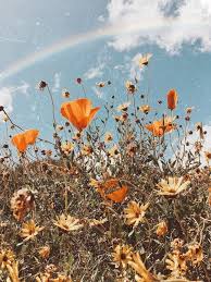 Grow Fondos Grow Flower Aesthetic Aesthetic Wallpapers Flower Wallpaper