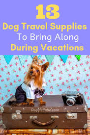 With the right planning and preparation, everyone will arrive safe and more importantly, sound. 13 Dog Travel Supplies To Bring Along During Vacations Doggie Cube Dog Travel Dog Travel Crate Travel Supplies