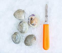 Then stick the frozen clams in a bowl and place it in the refrigerator for another six to eight hours. Littleneck Clams Island Creek Oysters Buy Oysters Online