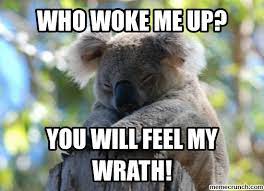 Quotes by koala or with koala, we could not tell. Quotes About Koalas 46 Quotes