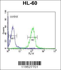 Camel's igg was purified from milk using different concentrations of ammonium sulfate (from 25% up to 60%) while purification by caprylic acid was performed using the optimal conditions determined previously for serum igg. H 2 Class Ii Histocompatibility Antigen A Q Alpha Chain Elisakit Net