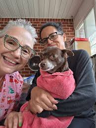 AT HOME NAIL TRIMS by a CERTIFIED VETERINARY ASSISTANT