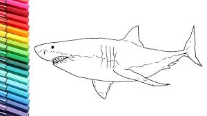We did not find results for: How To Draw Great White Shark Monster From The Sea Drawing Lesson For Kids Youtube