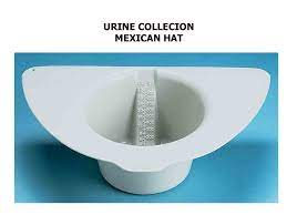 Specimen Collection Role Of The Nurse Nurses Often Assume The Responsibility Of Specimen Collection Specimens Consist Specimens Consist Urine Urine Stool Ppt Download